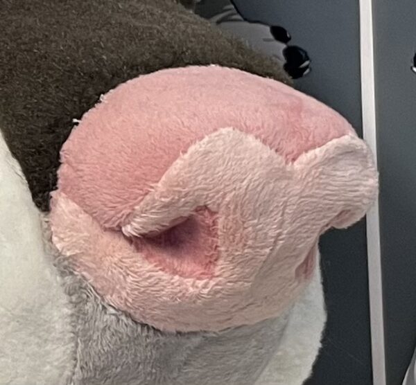 Fursuit nose pattern